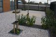 DSC02321_tmb.jpg