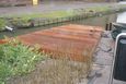 DSC02470_tmb.jpg