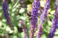 DSC02775_tmb.jpg