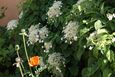 DSC02790_tmb.jpg