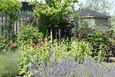 DSC02794_tmb.jpg