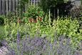 DSC02795_tmb.jpg
